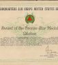 Bronze Star Award Doc