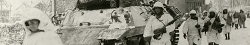 893rd TD Battalion