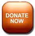 DonateNowBtn